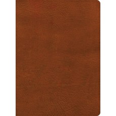 (영문도서)NASB Study Bible Burnt Sienna Leathertouch Imitation Leather, Holman Bible Publishers, English, 9798384540359