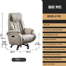 전동 마사지 가죽 사장용 의자 고급형 사무용 통풍 및 난방 기능 포함, AO_듀얼 모터 전신 마사지 블루투스 파리, 단일 모델