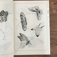 나비 화접도 밑그림 공필화 드로잉 도안집 연습 초안