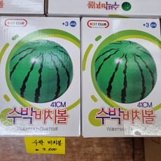 41cm 수박 비치볼, 혼합색상, 1개