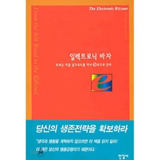 일렉트로닉 바자, 한길사, 로빈 블루어 저/형선호 역