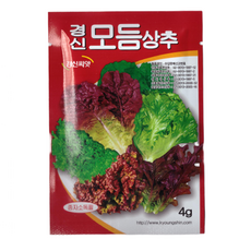 경신종묘 모듬상추씨앗, 2개