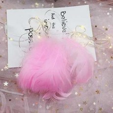 微景小舖 馬卡龍彩色中飄羽毛 捕夢網手工材料 禮品裝飾鵝毛 約90-100支, 1個, 粉色,一包約90~100支左右, 粉色