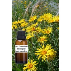 土木香 純精油 Inula graveolens, 1個, 250ml