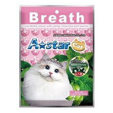 日初 Sunrise A star 貓咪星型薄荷潔牙骨 貓潔牙骨 貓零食 潔牙錠 潔牙片 貓咪潔牙零食 貓潔牙, 1個, 經濟包90g-原味