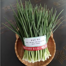 [생산자 직판 / 덤 행사] 포항 영일만 쪽파 / 다듬어 손질한 해풍 깐쪽파 / 국내산 햇쪽파 / 3단 이상 10% 덤 / (1단 900g), 1개, 900g