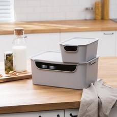 아트박스/리템 리템 EL 스토리지박스 중, 체리레드