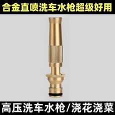 高壓洗車水槍套裝 澆花灑水噴霧器, 黃銅水槍1把
