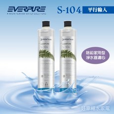 EVERPURE S104 濾心《2入組合》原裝進口-黑水保固, 1個, 雙入裝(售出無保固