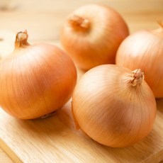 채소다움 국내산 햇양파 무안양파, 1박스, 중대혼합 1kg