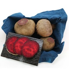 제주 햇 레드비트 2kg 3kg 5kg 10kg, 1개