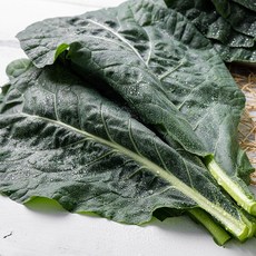 국내산 유기농 즙용 케일 1kg 2kg, 01.케일 1kg, 1개
