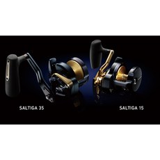 【民辰商行】Daiwa SALTIGA 35 雙軸捲線器 2025年新款 路亞捲線器 小烏龜, 1個, 35HL (3208072)