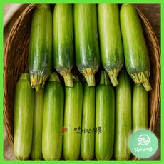 국내산 애호박(특품) 1개