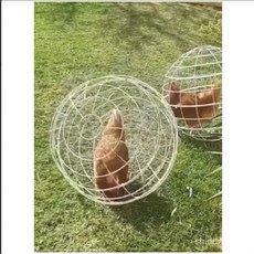 닭 케이지 1마리 보호 도망 방지 방목 원형 야외 닭장 짐승 울타리 20cm-1개 배송메모에 남겨주세요(미기재시 흰색) 1개, 20cm 1개/노란색 × 1개