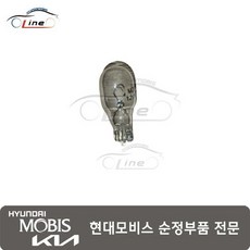 왕뻔데기 전구(빽등) 18643 18004N