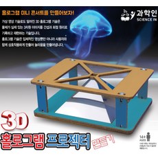 프로 3D 홀로그램 프로젝터 만들기, 1개