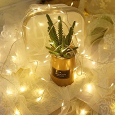 솔라콤 로맨틱한 분위기의 LED 와이어 전구 줄조명, USB (50구) 흰빛, 1개