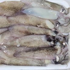 냉동 총알한치 3kg, 단품, 단품