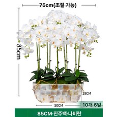 화분 꽃 장식품 호접란대형조화 취임난 개업축하 가짜 난초 꽃 인공, 쉘 화분 진주