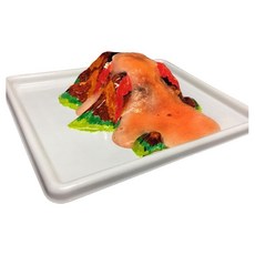 관찰과학 화산모형틀 분출실험 5인키트 화산폭발실험키트 초등만들기키트 엄마표놀이, 1세트