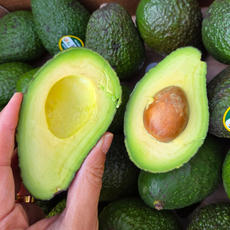 [재구매율1위] 영양만점 담백고소한 슈퍼푸드 아보카도, 1박스, 대과 10과