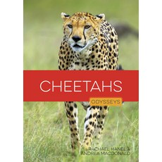 (영문도서)Cheetahs Library Binding, Creative Education, English, 9798895811450