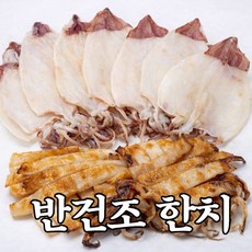 반건조 한치 냉동 건한치 마른한치, 1개, 10미 (200g 내외)