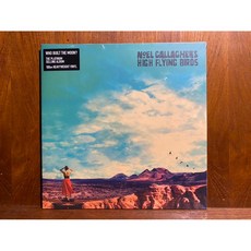 沐耳 Noel Gallagher's High Flying Birds 第三張 Who Built The Moon 黑膠唱片