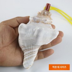 프라운 나각 선물 뿔소라 소라 뱃고동 고둥 국악기 뿔나팔 5개, 1개, 레드 피스트 16-17cm 5개