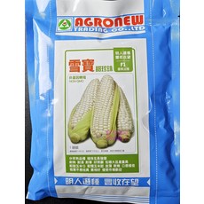 AGRONEW 雪寶甜珍珠玉米種子 1磅 非基因轉殖, 1包