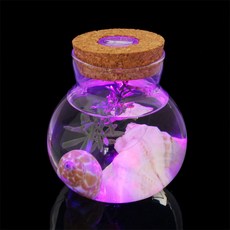 보람스마켓 LED 코르크병 테라리엄 마리모어항 마리모병 마리모키우기세트 수경재배식물