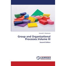 (영문도서)Group and Organizational Processes.Volume III Paperback, LAP Lambert Academic Publis..., English, 9786200677334