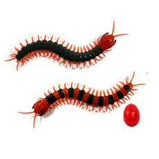 반디 지네RC 색상랜덤 무선조종 곤충 RC, 선택: 지네RC(색상랜덤), 1개