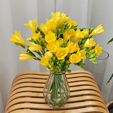 고급화병포함 앤드플라워 생화 프리지아, 01. 후리지아(30대)