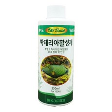 원터치 박테리아 활성제, 250ml, 1개