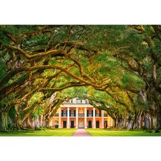 캐스토랜드 1000피스 오크나무 지붕길 ld104383 직소퍼즐 풍경퍼즐 풍경화퍼즐, 1개