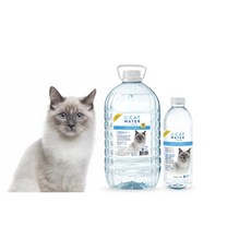 COCO 促泌康 喵喝水 500ml 24瓶裝 (貓咪限定飲用水.泌尿保健) 尿道保健 腎臟保健, 1個