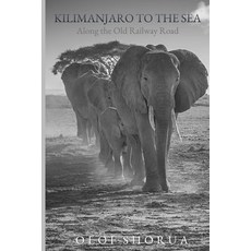 (英文圖書)Kilimanjaro to the Sea: Along the Old Railway Road 平裝版, Independently Published, 英文