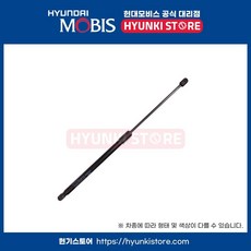 리프터후드 우측 (811713V001), 1개