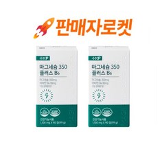 마그네슘350 B6 약국 마그네슘 영양제 신경 근육 기능 유지에 도움, 90회분, 2박스