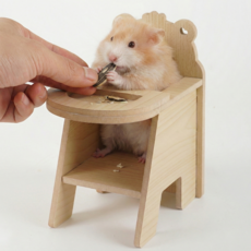 소동물 나무 식판 의자