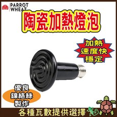 PARROT WHEAT 寵物陶瓷加熱燈泡 110V 遠紅外線燈泡 7.5CM, 1個, 陶瓷燈泡50W　[B]