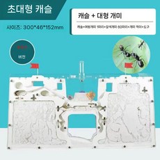 에른트 개미집 관찰 개미 키우기 사육장, F