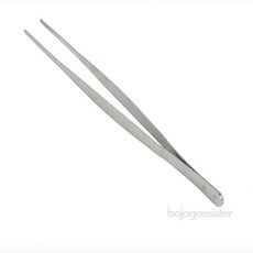 보조개자매 파충류 먹이 핀셋 도마뱀