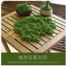 微景小舖 仿真毛線苔蘚 微景觀裝飾材料, 1個, 深綠色苔蘚/30克+/-1g