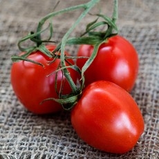 [재구매1위]깊은 단맛 2kg 2개 구매시 5kg발송 대추 방울토마토, 1박스, 2kg(2.로얄과)