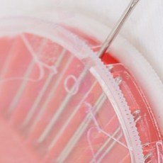 바늘세트 (케이스포함) 바느질세트 바느질도구 반짇고리 바늘꽂이 실바늘세트 바느질용품