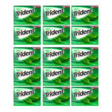 트라이던트 무설탕 자일리톨 껌 스피어민트 (Spearmint), 15개