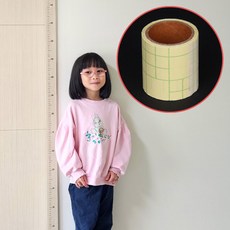 키재기 키재기자 방수비 게이지 수평계 먹줄 스크루 드라이버 마사지기 공업용 스페너 펀치 미장 전지 페인트 렌치 방호관 안경 종류 76541EA, 1개
